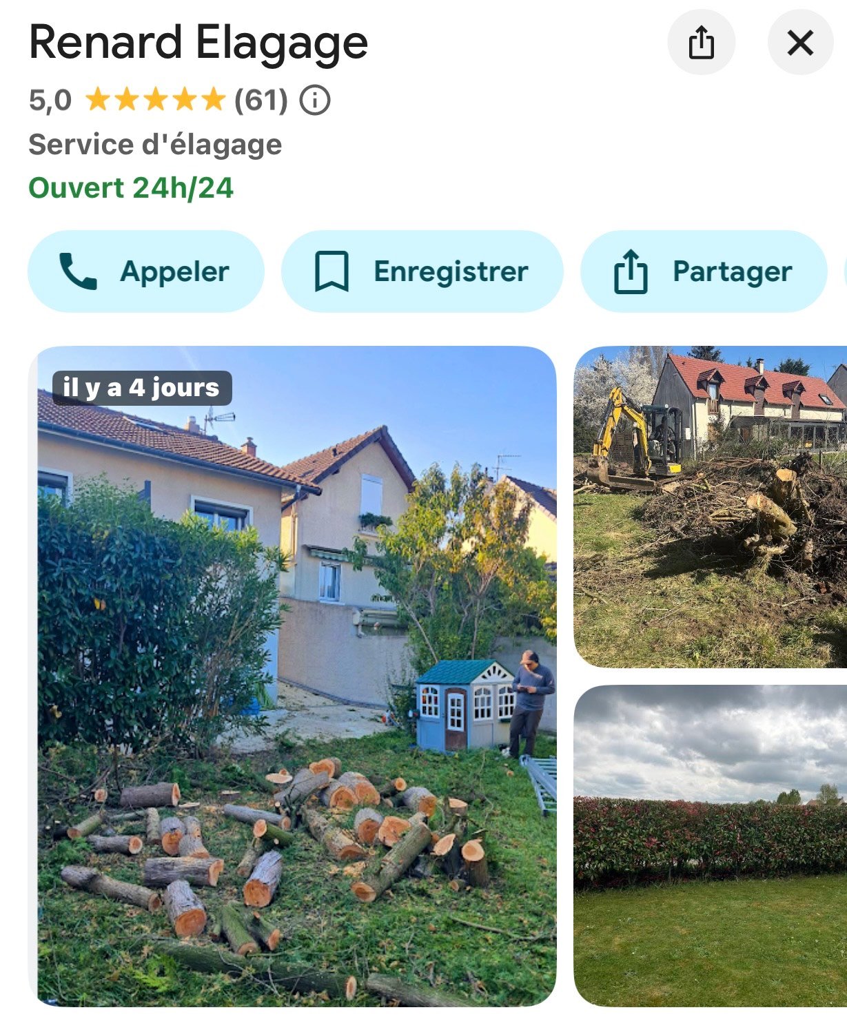 Une fiche Google Business Profile de l'élagueur Renard Elagage à Meaux et Bussy Saint Georges dans le 77, optimisée grâce à des photos de qualité.