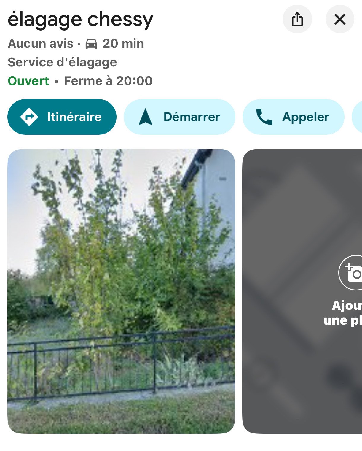 Image de mauvaise qualité non optimisée pour une fiche google my business d'un élagueur